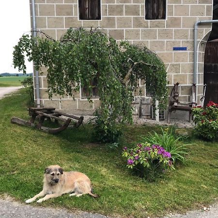 Pferdehof-Dietzsch Tittmoning Bagian luar foto