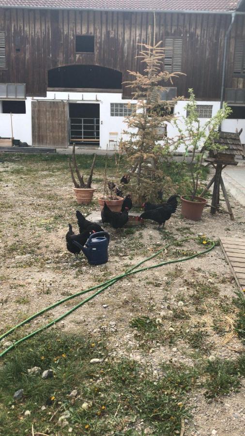 Pferdehof-Dietzsch Tittmoning Bagian luar foto