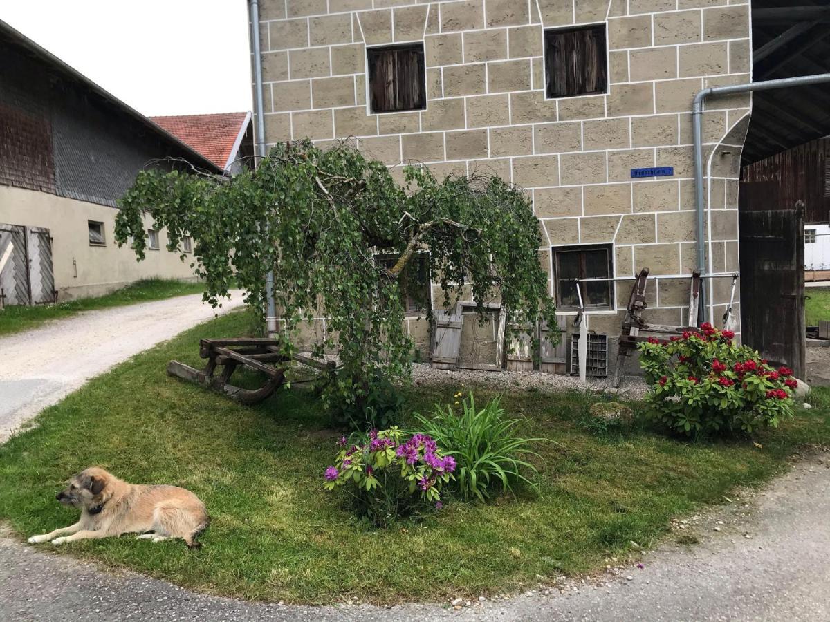 Pferdehof-Dietzsch Tittmoning Bagian luar foto